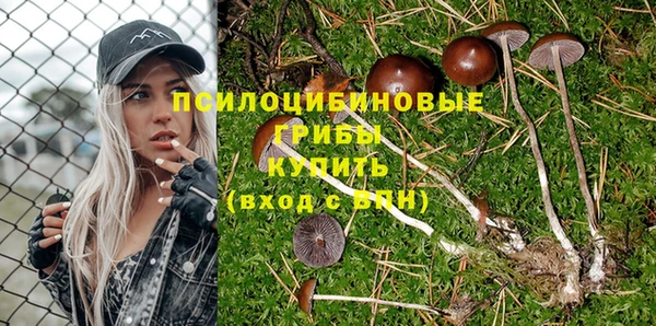 spice Армянск