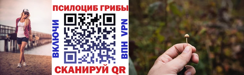 Псилоцибиновые грибы MAGIC MUSHROOMS  где продают наркотики  Киров 